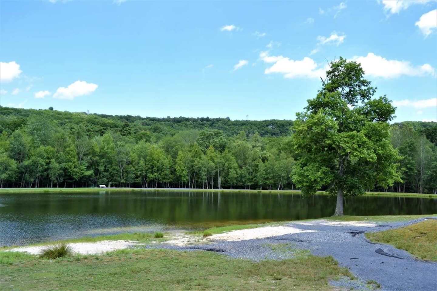 Somerset Lodge property photo 63