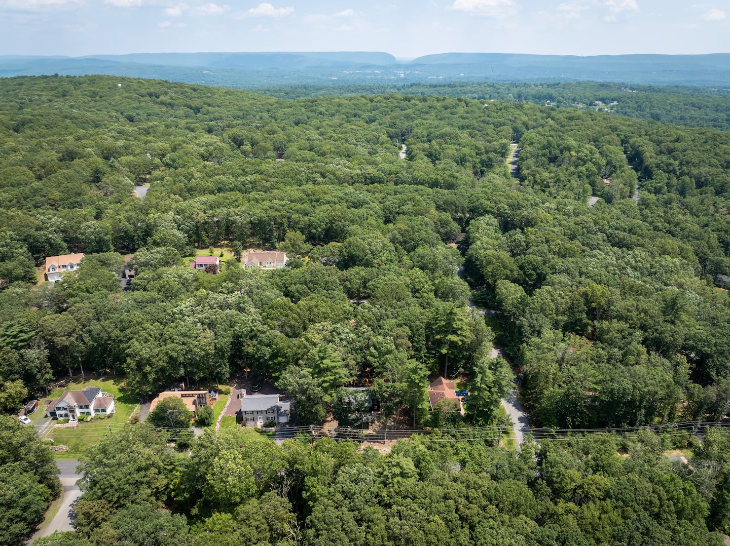 Somerset Lodge property photo 61